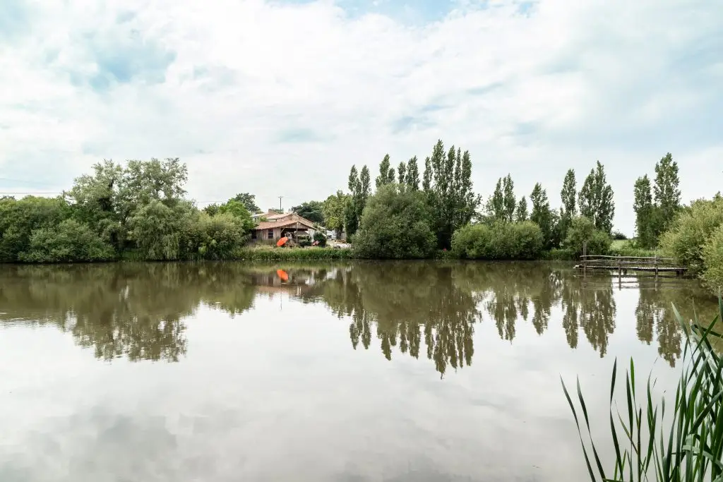 mariage-cérémonie-laïque-niort-paysage-domaine