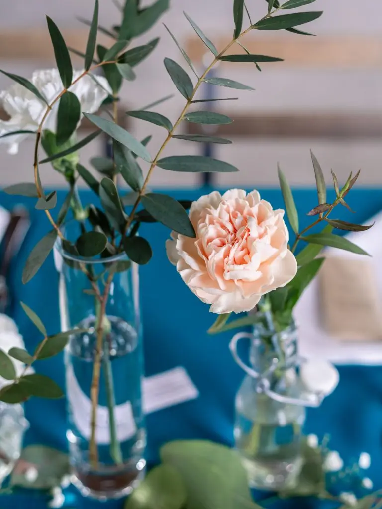 mariage-niort-aquitaine-cocktail-détails-décoration-table-bleu-végétaux