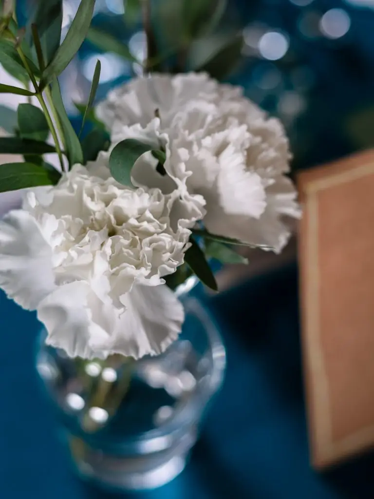 mariage-niort-aquitaine-cocktail-détails-décoration-table-bleu-végétaux