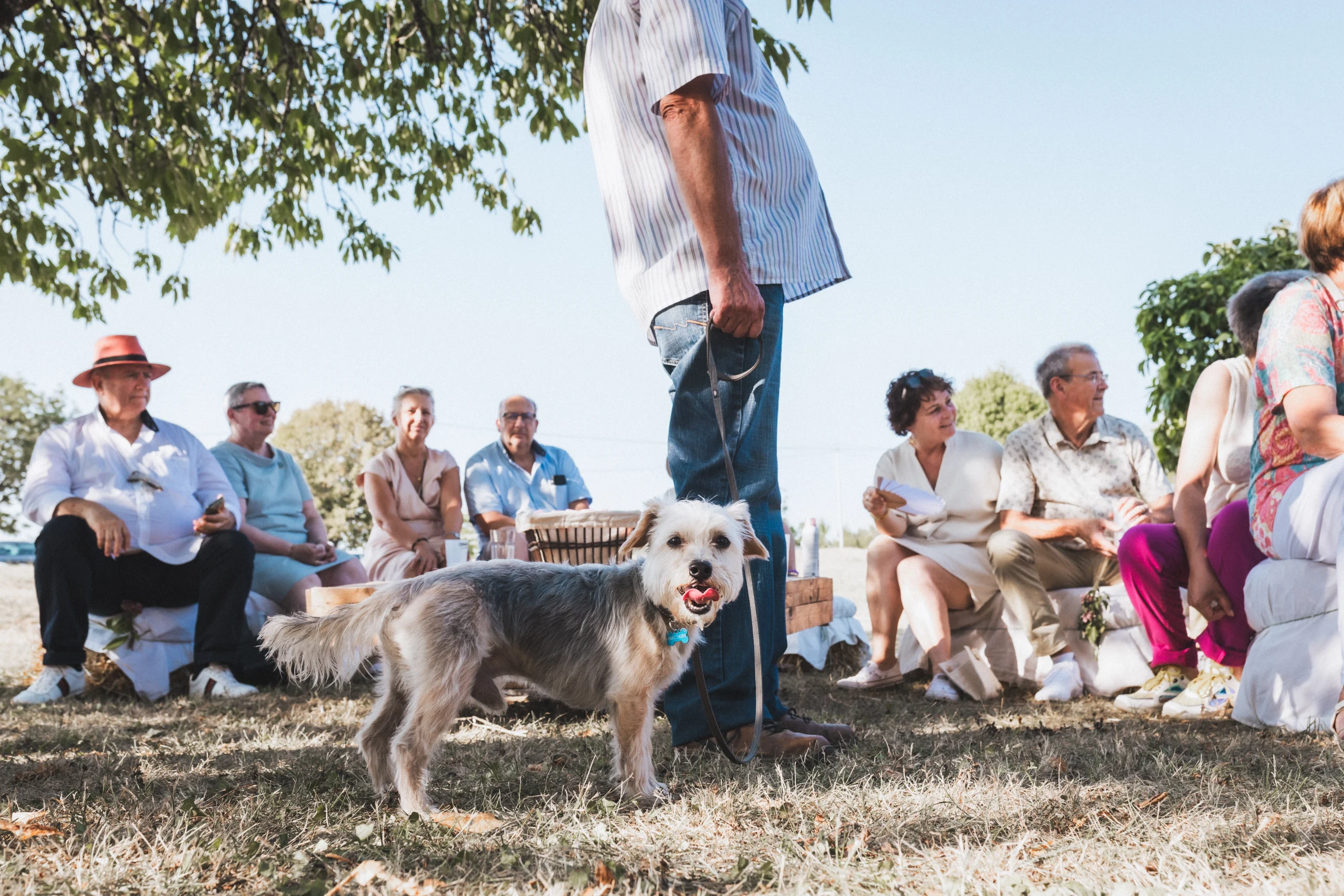 Pendant le rafraîchissement, les invités se prélassent tranquillement à l'ombre, seul ou avec leur chien de compagnie, en Dordogne, immortalisé par une photographe mariage sud-ouest.