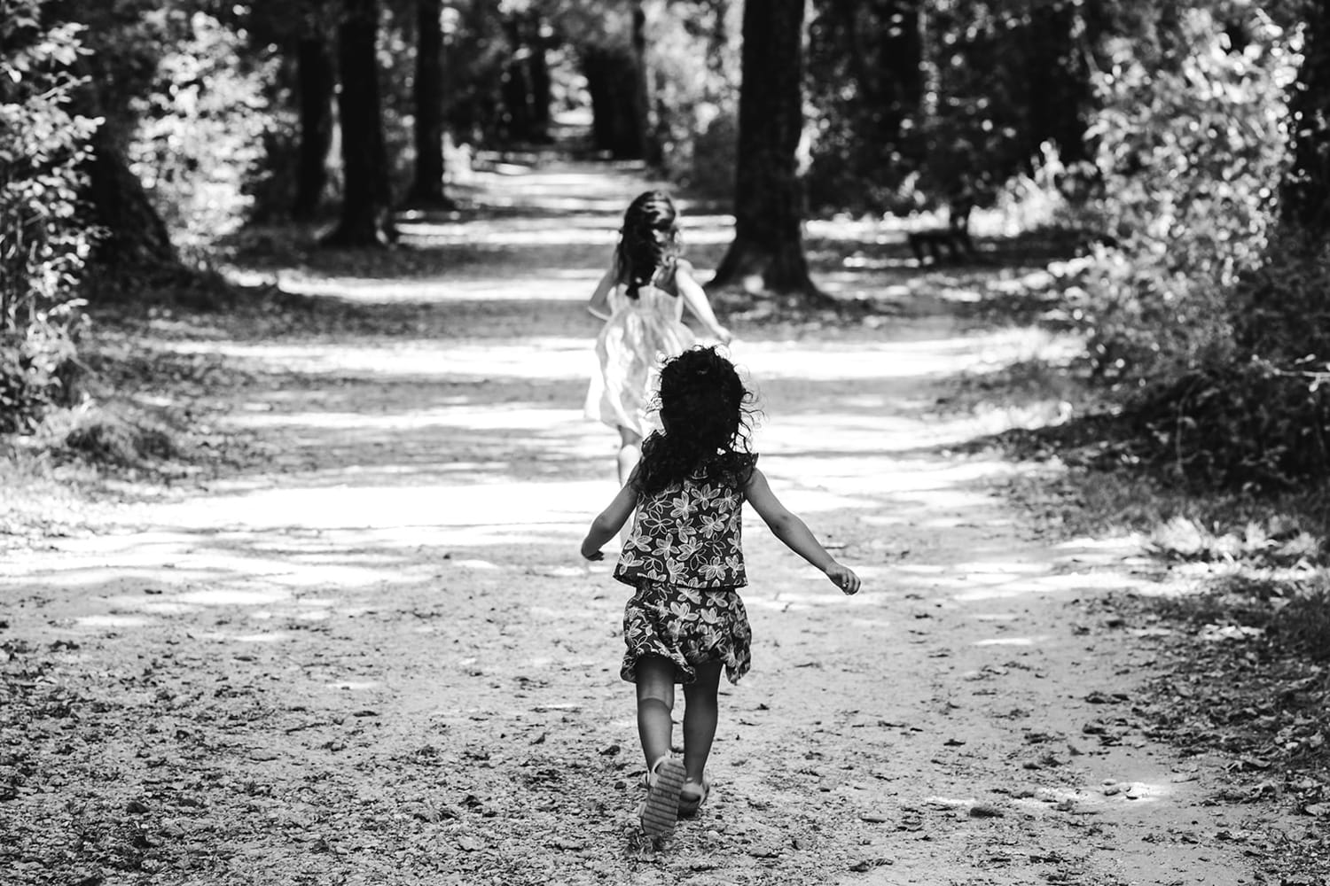 Les petites filles courent sur le chemin de terre pendant la séance photo famille